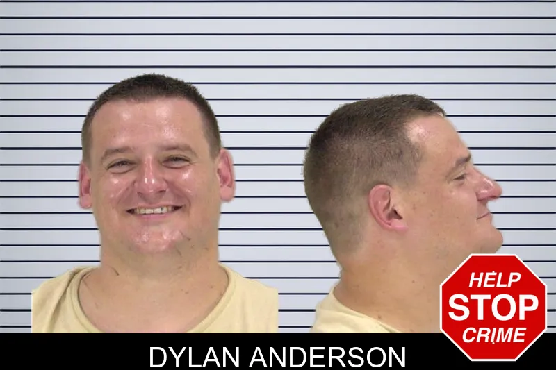 Dylan Anderson mugshot