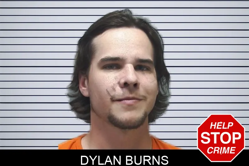 Dylan Burns mugshot – Cherokee County , Georgia Dylan Burns mugshot
