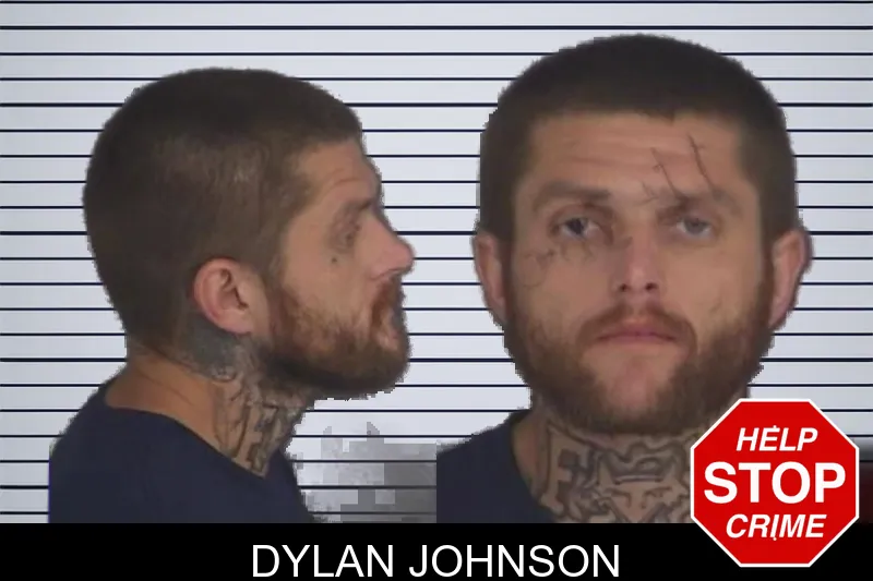 Dylan Johnson mugshot