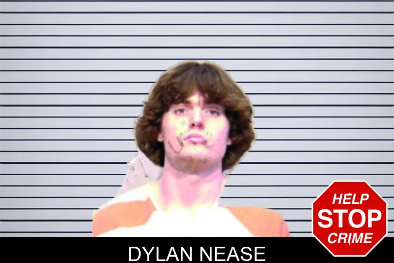 Dylan Nease mugshot