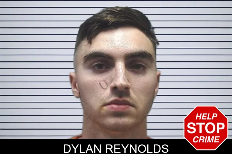Dylan Reynolds mugshot