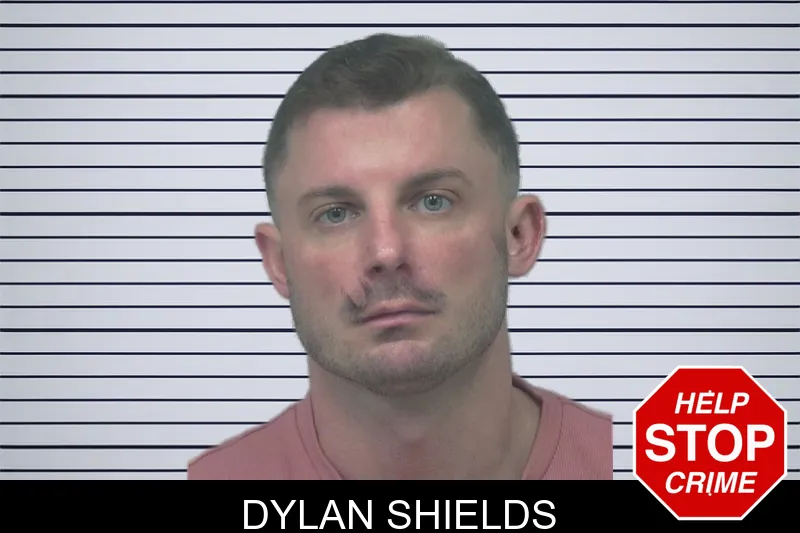 Dylan Shields mugshot