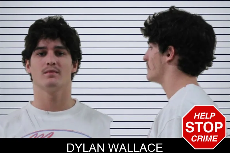 Dylan Wallace mugshot