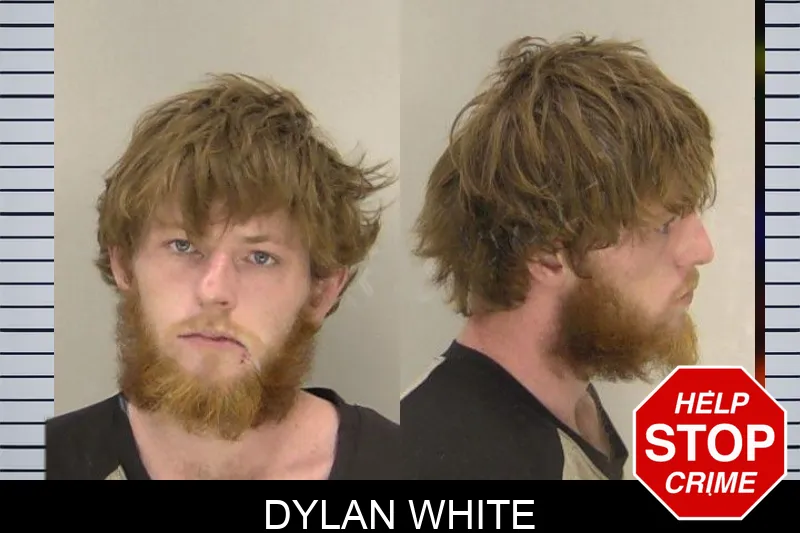 Dylan White mugshot