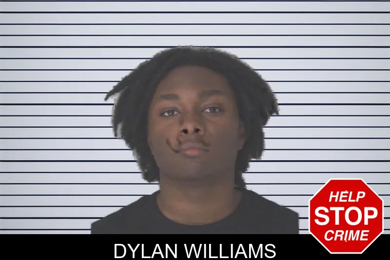 Dylan Williams mugshot