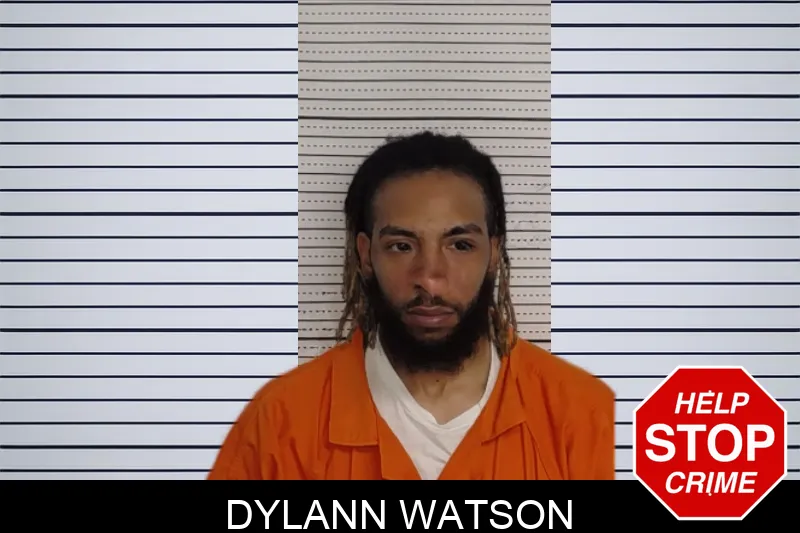 Dylann Watson mugshot