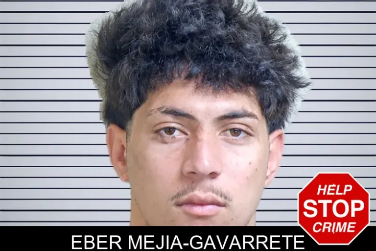 Eber Mejia-Gavarrete