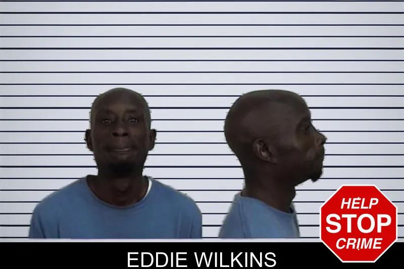 Eddie Wilkins mugshot – Camden County , Georgia Eddie Wilkins mugshot