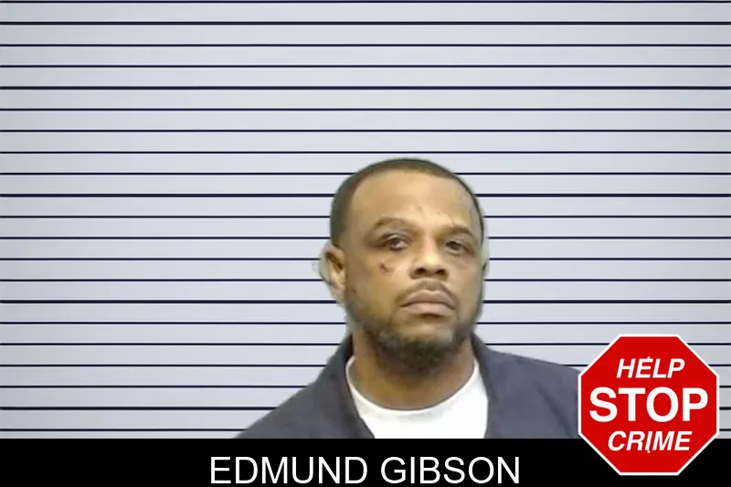 Edmund Gibson mugshot