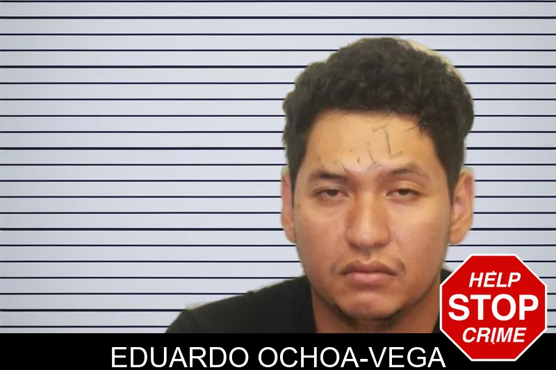 Eduardo Ochoa-Vega mugshot