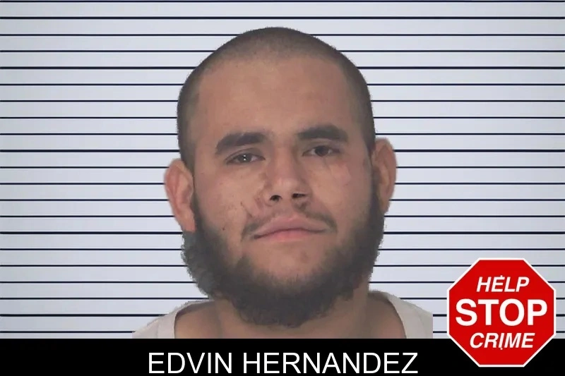 Edvin Hernandez mugshot