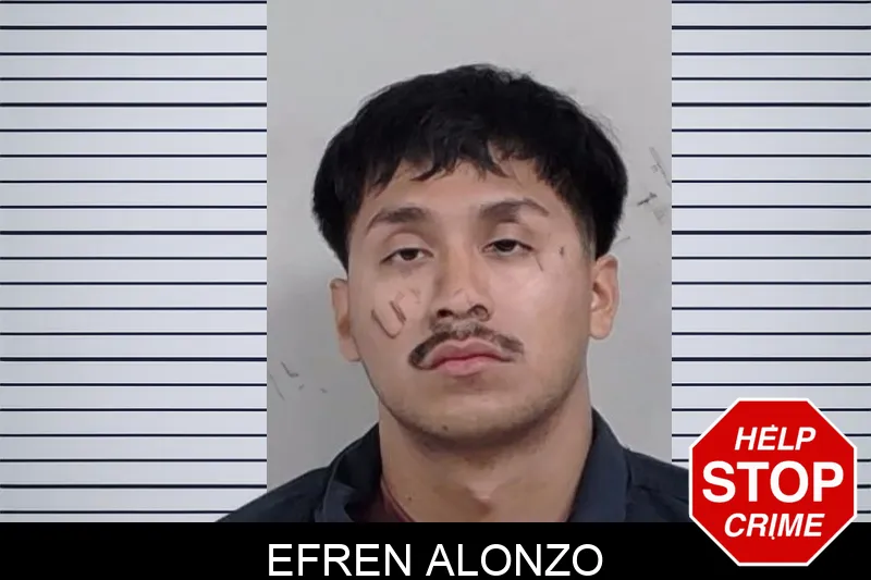 Efren Alonzo mugshot – Lowndes County , Georgia Efren Alonzo mugshot