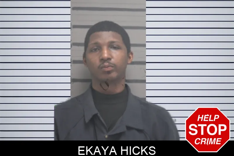Ekaya Hicks mugshot – Dougherty County , Georgia Ekaya Hicks mugshot