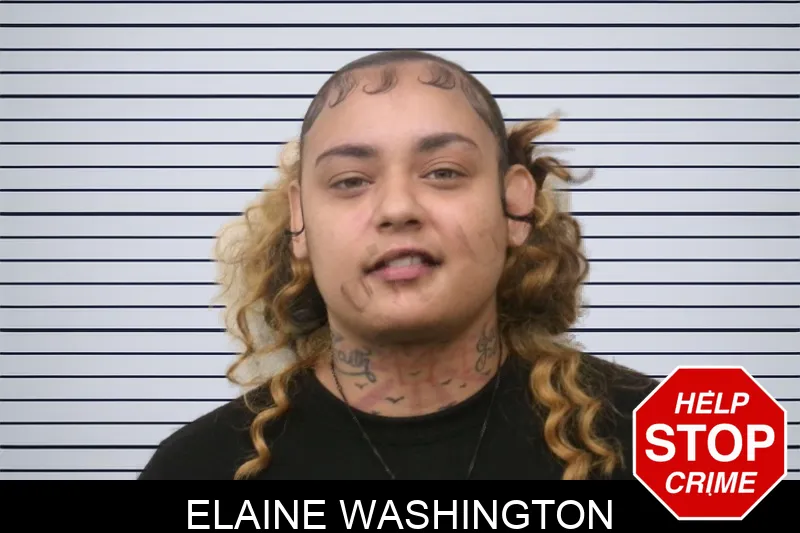 Elaine Washington mugshot