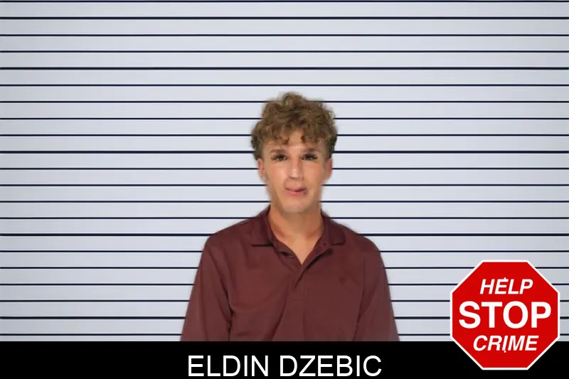 Eldin Dzebic mugshot