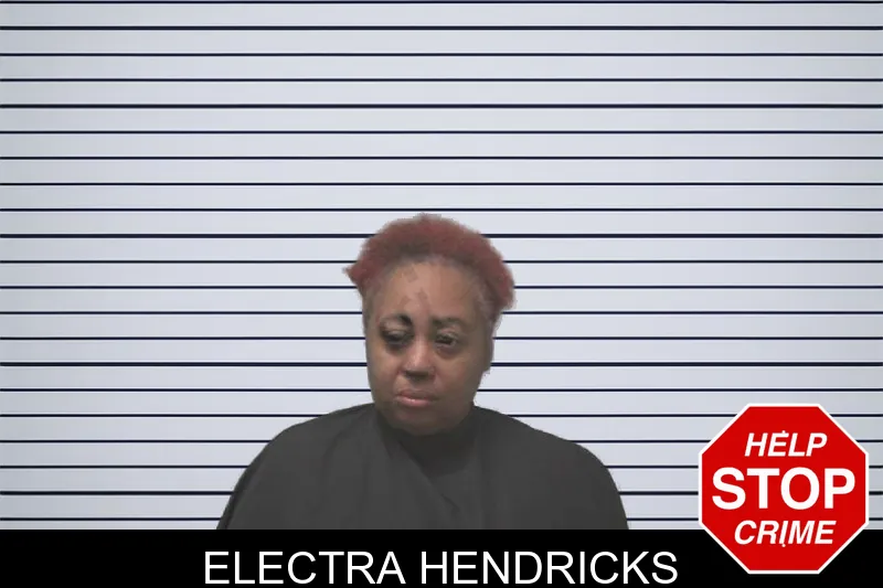 Electra Hendricks mugshot