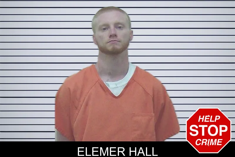 Elemer Hall mugshot