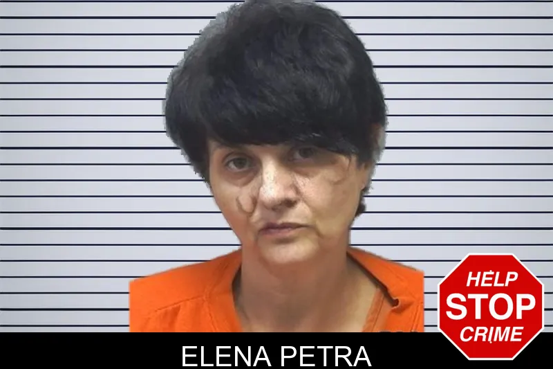 Elena Petra mugshot – Cherokee County , Georgia Elena Petra mugshot
