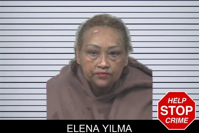 Elena Yilma mugshot – Gwinnett County , Georgia Elena Yilma