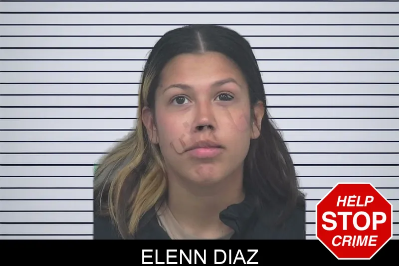 Elenn Diaz mugshot