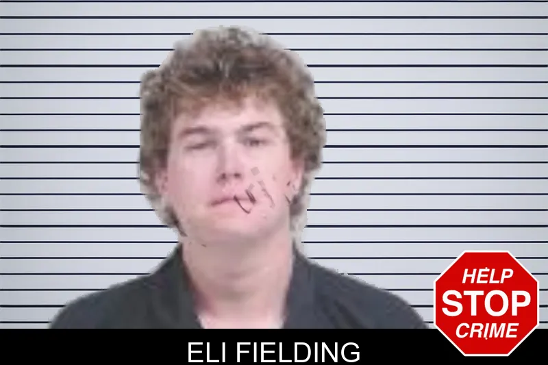 Eli Fielding mugshot – Lowndes County , Georgia Eli Fielding mugshot