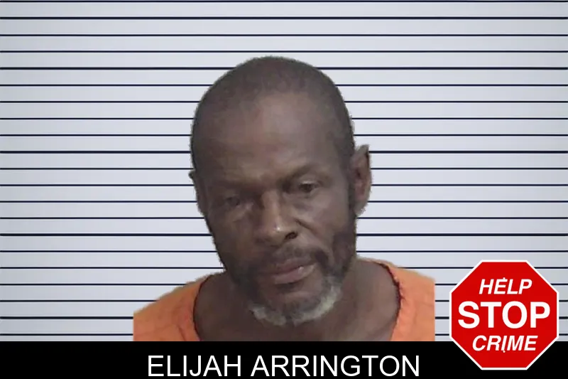 Elijah Arrington mugshot – Wayne County , Georgia Elijah Arrington mugshot