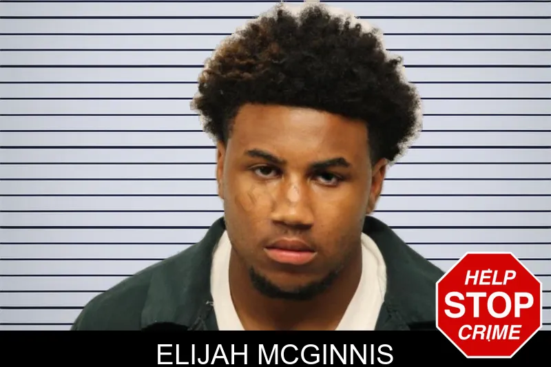 Elijah McGinnis mugshot