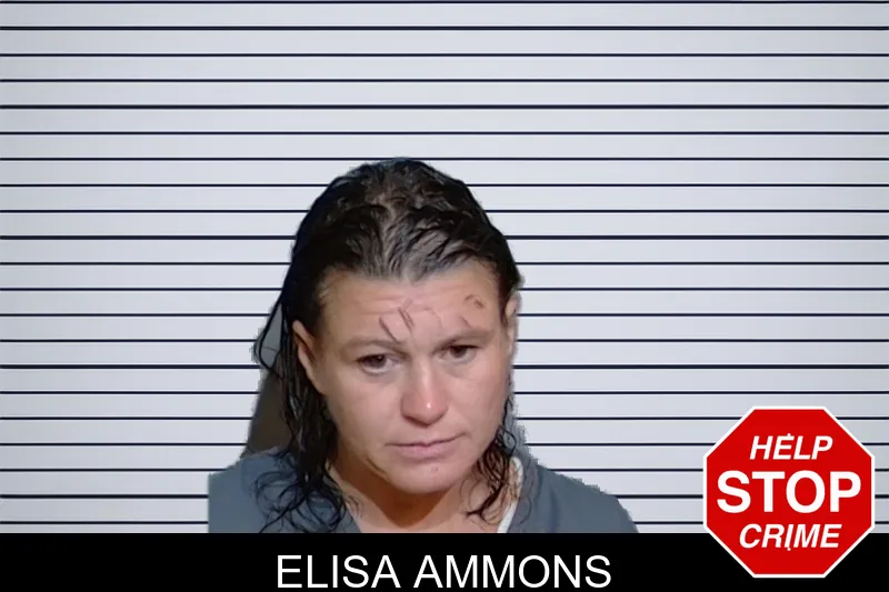 Elisa Ammons mugshot