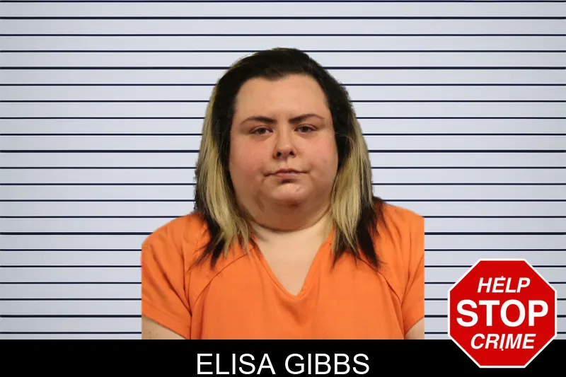 Elisa Gibbs mugshot