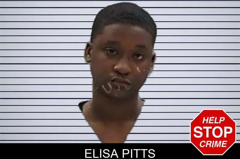 Elisa Pitts mugshot – Baldwin County , Georgia Elisa Pitts mugshot