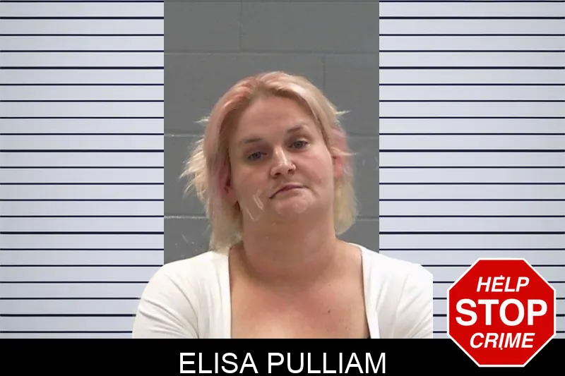Elisa Pulliam mugshot