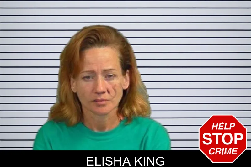 Elisha King mugshot
