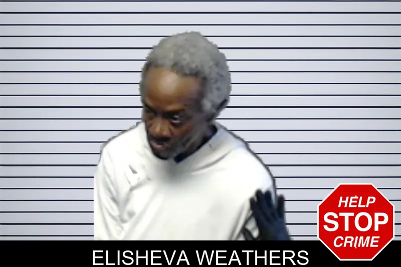 Elisheva Weathers mugshot – DeKalb County , Georgia Elisheva Weathers mugshot