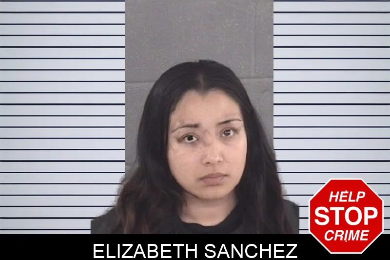 Elizabeth Sanchez mugshot