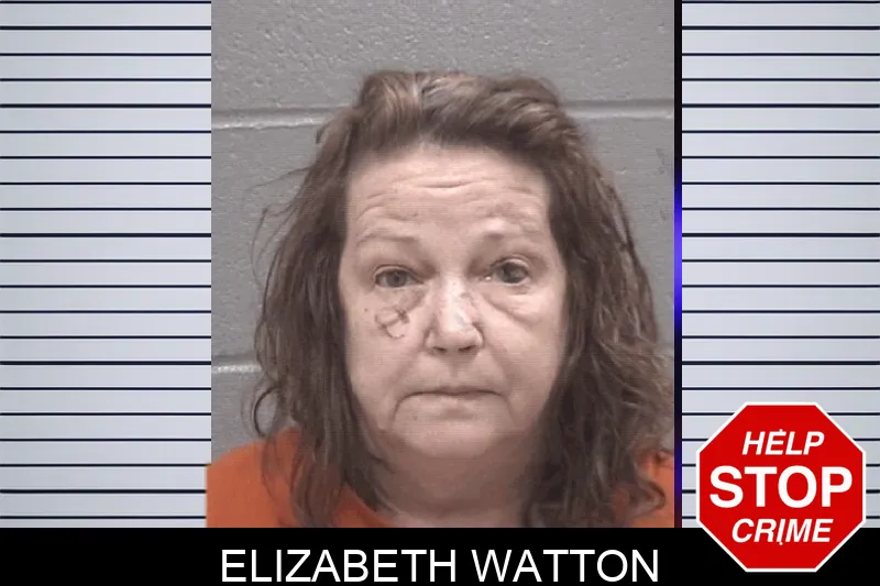Elizabeth Watton mugshot – Columbia County , Georgia Elizabeth Watton mugshot