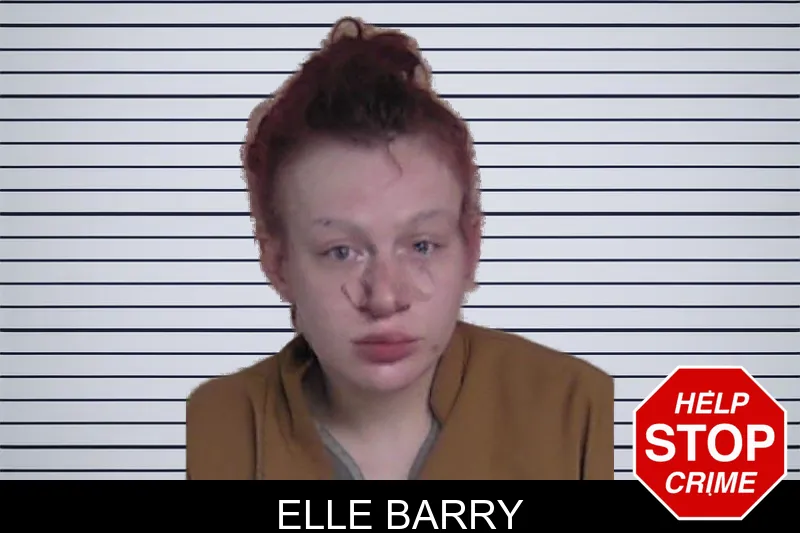 Elle Barry mugshot