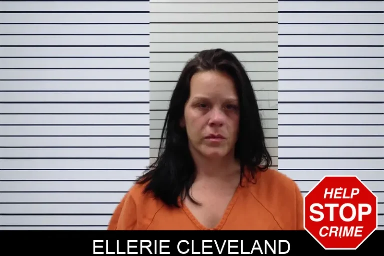 Ellerie Cleveland mugshot – Pickens County , Georgia Ellerie Cleveland