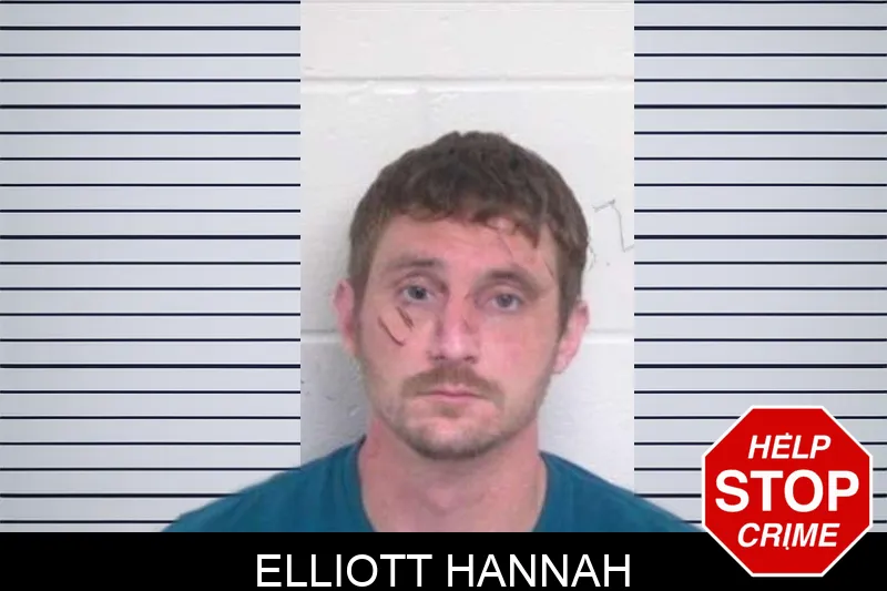 Elliott Hannah mugshot – Washington County , Georgia Elliott Hannah mugshot