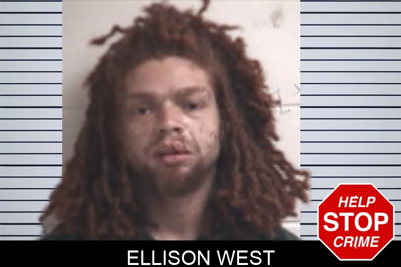 Ellison West mugshot – Henry County , Georgia Ellison West mugshot