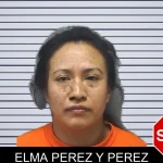 Elma Perez Y Perez mugshot