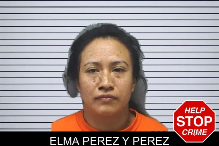 Elma Perez Y Perez