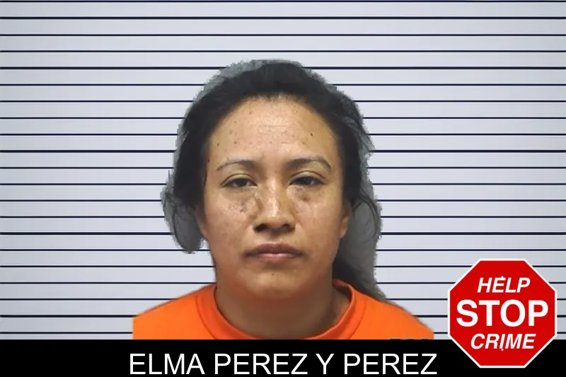 Elma Perez Y Perez mugshot