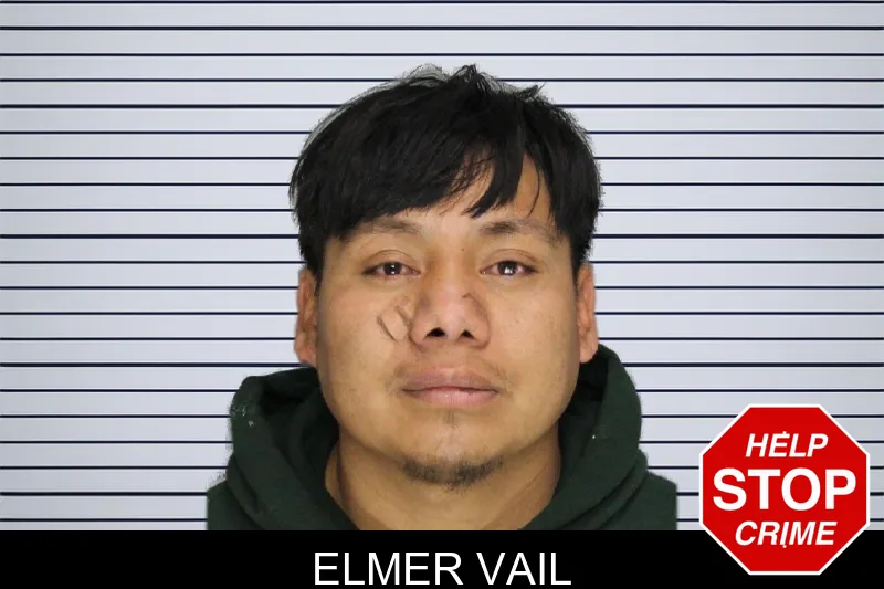 Elmer Vail mugshot
