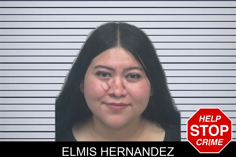 Elmis Hernandez mugshot