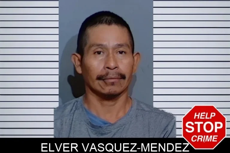 Elver Vasquez-Mendez