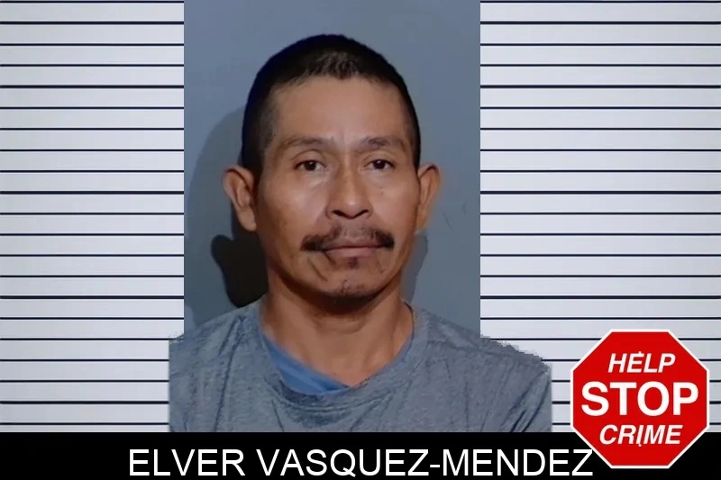 Elver Vasquez-Mendez mugshot – Glynn County , Georgia Elver Vasquez-Mendez mugshot