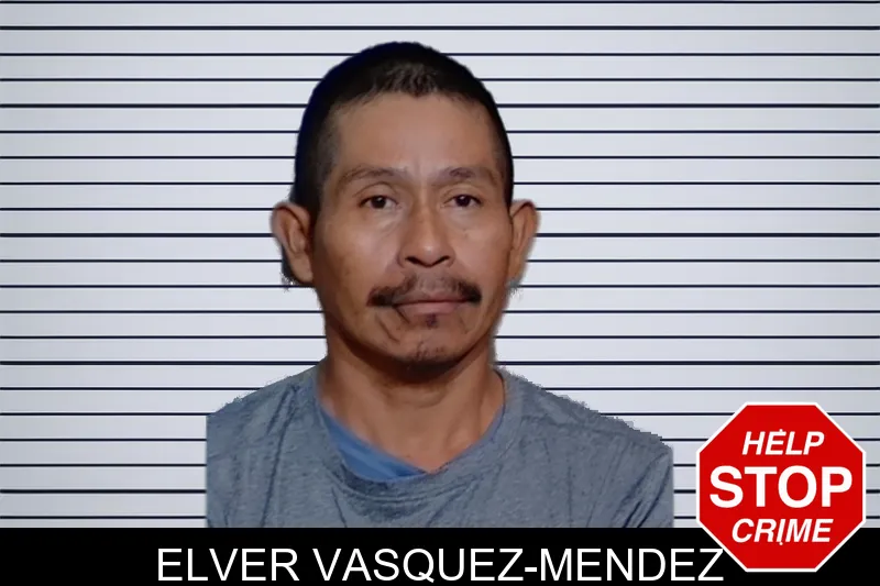 Elver Vasquez-Mendez mugshot
