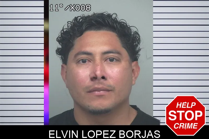Elvin Lopez Borjas mugshot