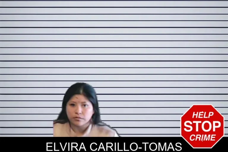 Elvira Carillo-Tomas mugshot – DeKalb County , Georgia Elvira Carillo-Tomas