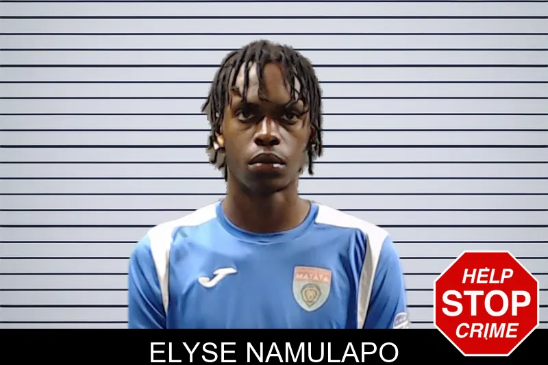 Elyse Namulapo mugshot – DeKalb County , Georgia Elyse Namulapo mugshot